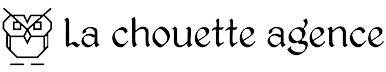 Lyon, Paris web design logo agence web meilleure agence